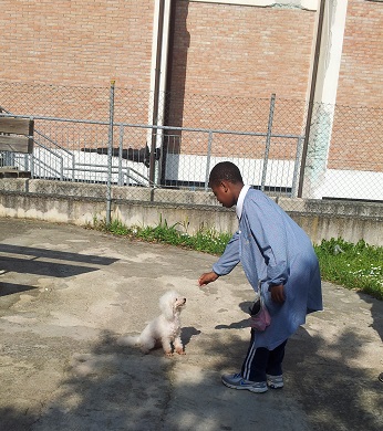 3A bambino che gioca con nikita in giardino 