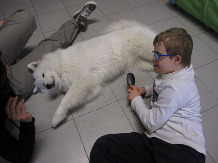 4 A il bambino spazzola il cane