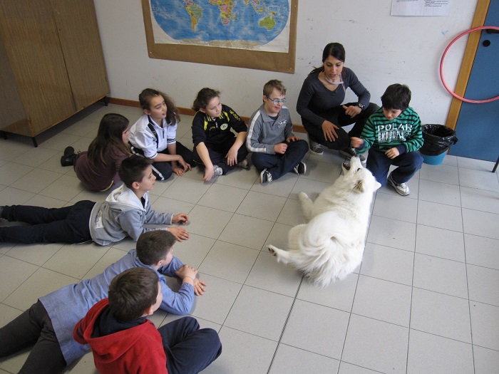 4 A gruppo2 giochi con il cane