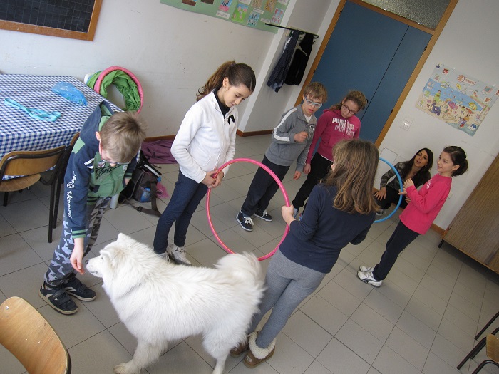 4 A gruppo il cane salta nei cerchi