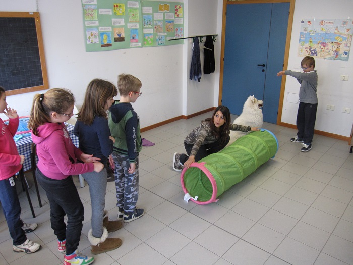 4 A gruppot il cane entra nel unnel