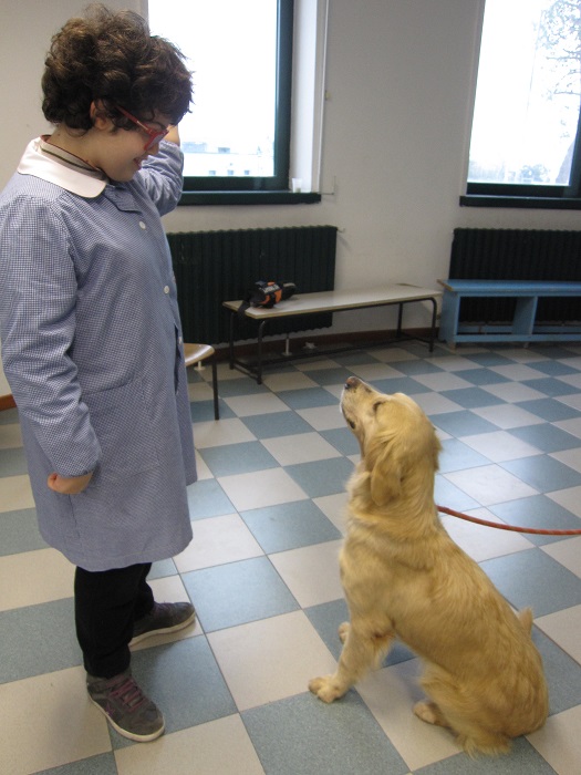 5 A la bambina dice al cane:Seduto