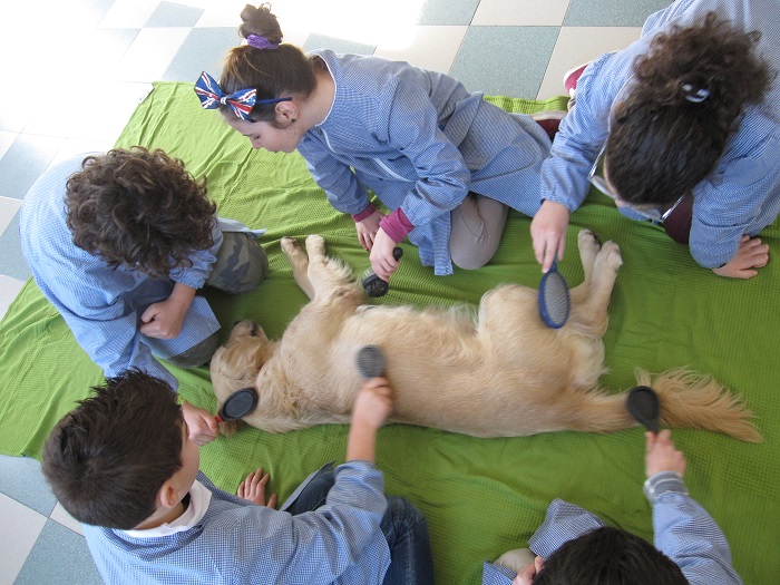 5 A gruppo  spazzola il cane disteso a terra