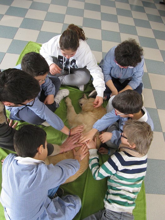 5 A gruppo  le coccole con il cane