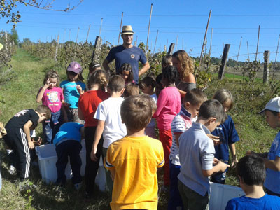 gruppo classe nella vigna