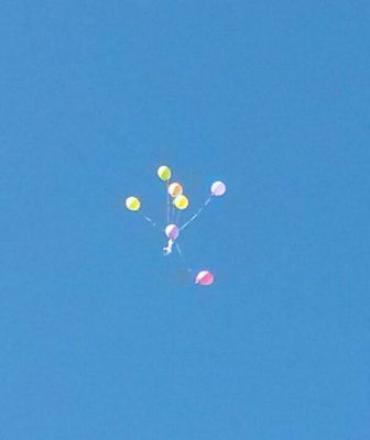 palloncini in volo